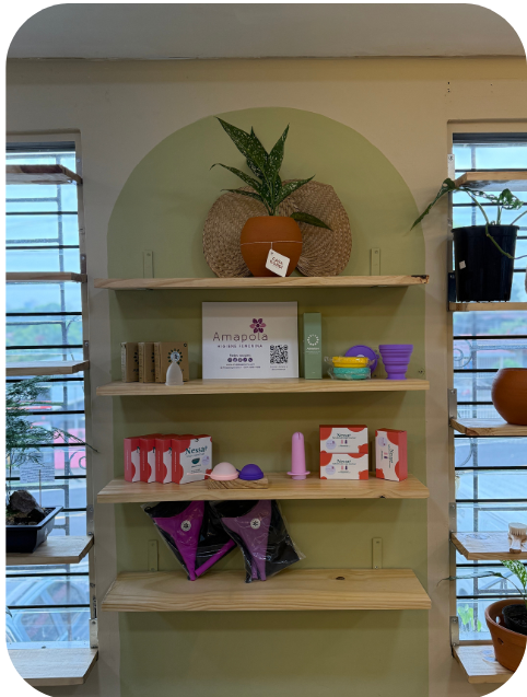 Casa gondí en Bethania, Distribuidor de productos para la higiene intima de Amapola